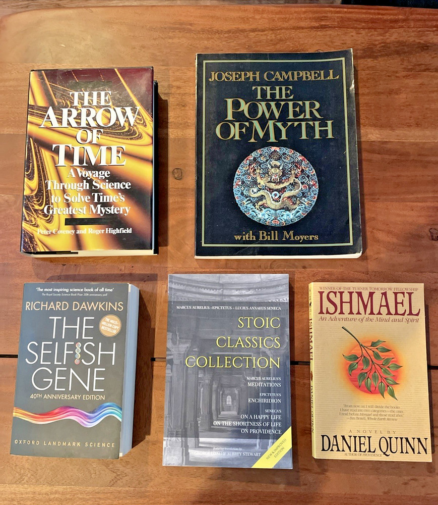 Big Ideas Philosophy & Science Book Lot of 5 -Dawkins, Stoicism, Ishmael