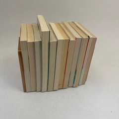 結婚記念殺人事件 Jiro AKAGAWA Lot of 12 Shimodakeki Mystery Kadokawa Bunko Japanese