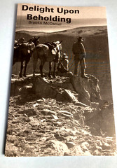 2007 Delight Upon Beholding by Brooks McDaniel paperback 102 pages