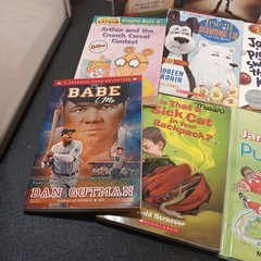 Lot of 12 Chapter Books for Tween BOYS