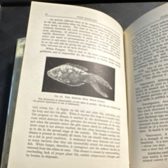 William T. Innes – Goldfish Varieties & Tropical Aquarium Fishes – 1931
