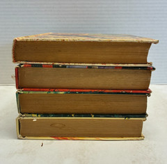 C5 (4) Vintage Troy Nesbit Illustrated Mystery Hardback Books Whitman