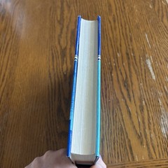 Psalm 119 By Charles Bridges HBDJ
