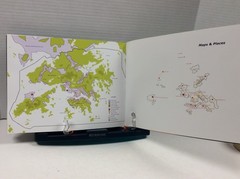 MAPPING HONG KONG Gutierrez + Portefaix 1st Edition PB