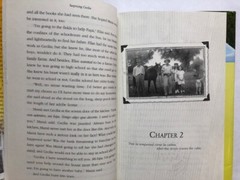 Surprising Cecilia by Denise Gonzales Abraham – Hardcover, all 221 pages clean