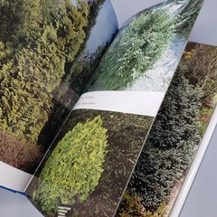 Garden Conifers in Colour Proudley Vintage 1984 HCDJ Blandford Color Series UK
