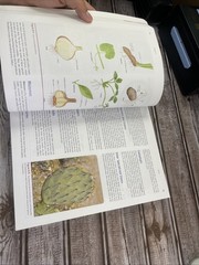 ISE Stern’s Introductory Plant Biology ISE HED BOTANY, ZOOLOGY, ECOLOGY 15e