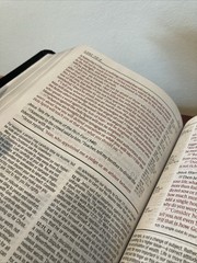 Large Print Zondervan NIV Life Application Study Bible | Black Bonded Leather