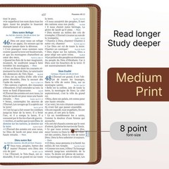 Louis Segond French Bible Medium Print – Compact LSG Bible Marron by SP