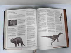 RARE „The Illustrated Encyclopedia of the Prehistoric World” 512 Pgs 9 X 11.5″