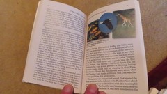 Is There A Creator Who Cares About You?” 1998. 192 pages. Paperback. Watchtower