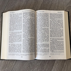 The Living Bible Large Print Edition Red Letter Holy Spiritual Book