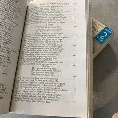Vintage 1968 Norton Anthology of English Literature Vol 1 & 2 Paperback Set