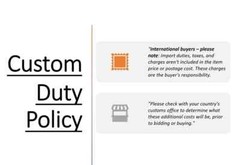 The Great Taking by David Rogers Webb New Stock Premium Quality Fast Shipping