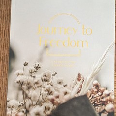 The Daily Grace Co. Journey to Freedom Kyra Daniels Moses Bible Study PB 2017