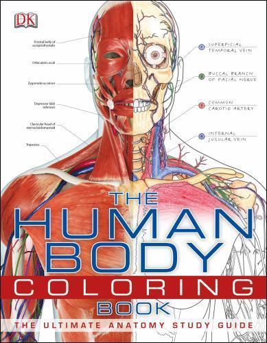 The Human Body Coloring Book: The Ultimate Anatomy- 9780756682347, DK, paperback