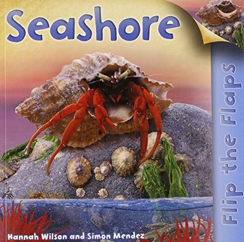 FLIP THE FLAPS: SEASHORE By Hannah Wilson & Simon Mendez *Excellent Condition*