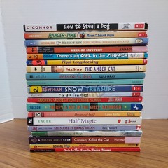 Lot of 20 Chapter Books for 4th Grade Boys & Girls Classroom RL4, AR