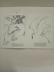 Vintage The Dinosaur Coloring Book by Anthony Rao Dover Publishing 46 Pgs 1980.