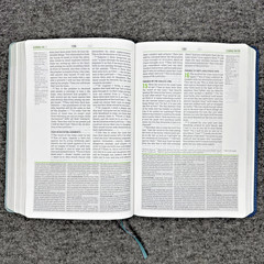 Christian Standard CSB Disciple’s Study Bible Navy/Mist LeatherTouch Holman HTF