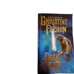 Lot of 22 Carpathian/Christine Feehan Books 1- 9.5 & 12-21 /25/31/33