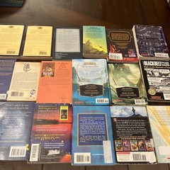 Chapter Books Fantasy-Lot of 18-dragons, Warriors, Narnia, Choose Own Adventure