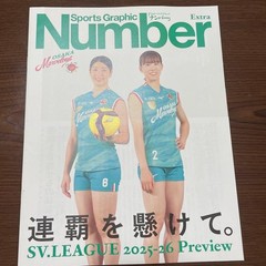 Number Appendix Volleyball Sports Graphic Accessory