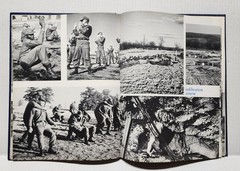MILITARY US Army Training Center Fort Leonard Wood MO Yearbook Sept 1968 Comp. D