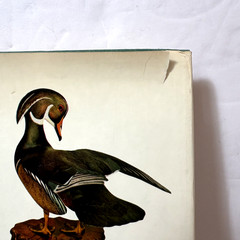 VTG GAME BIRD CARVING HB Book by Bruce Burk (1972) with Dust Jacket