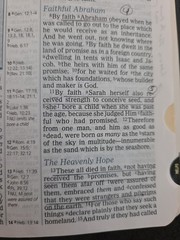 The Word for Today Bible NKJV Chuck Smith Calvary Chapel Genuine Cowhide Leather