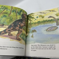 Dinosaur Hardcover Books 1991 Janet Riehecky The Child’s World Series 18 Books