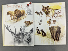 NOAH’S ARK English Edition by Rien Poortvliet Illustrated Oversized HC/DJ