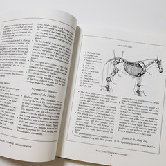 Horse Gaits, Balance and Movement by Susan E. Harris 1993 HC DJ