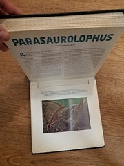 Dinosaur Photicular Hardcover Book Created By Dan Kainen & Kathy Wollard