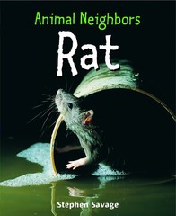 Rat (Animal Neighbors) – library Savage, Stephen
