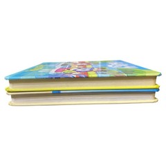 Bluey Board Book Set x 2 The Pool The Beach Hardcover Kids TV Series Picture Lot