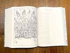 French Journal Bible, Segond 21, Blue Flower Cover & Pages, Padded Hardcover