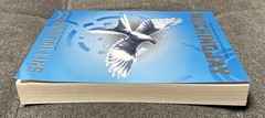 Lot of 2 Hunger Games Paperback Books Suzanne Collins, Mockingjay, Catching Fire