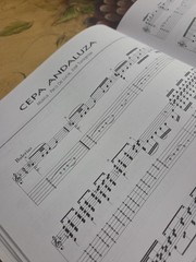 Paco De Lucia 14 Pieces For The Flamenco Guitar Book,+ Tabs 102 Pages