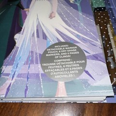 Frozen Spiral Activity Color & Erase 5 Pages Clings – Included Dry Erase Markers