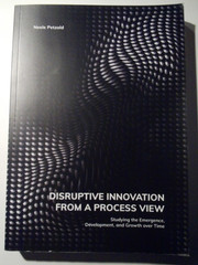 Disruptive Innovation From A Process View von Neele Petzold