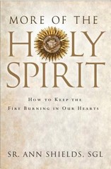 More of the Holy Spirit : How to Keep the Fire Burning in Our Hea