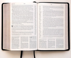 The Reformation Study Bible Condensed Edition, R.C. Sproul English ESV 2017 Good