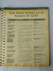 Rose Book of Bible Charts, Maps & Time Lines 10th Anniversary Edition