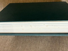 Beyond Suffering Bible NLT, Hardcover, Where Struggles Seem Endless God’s Hope