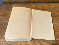 Vintage 1922 The Parlor Begat Amos by Arthur Hildebrand HC Ex-Library Book