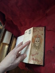 Chaos-Tom O’Neill-FORE EDGE PAINTING Leather Red Gold Skull One-of-a-Kind Manson