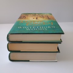 Maeve Binchy 3x Bundle 1st Edition Hardcover Whitethorn Woods Quentins Tara Road