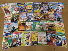 Lot of 10 Level 2 BOOKS FOR BOYS~RL~Ready to-I Can Step into Learn Read – RANDOM