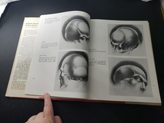 Drawing the Human Head Burne Hogarth 300 Illustration HC / DJ Book 1ST EDITION